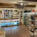 Earth Fossils and Gemstones - Shop Interior